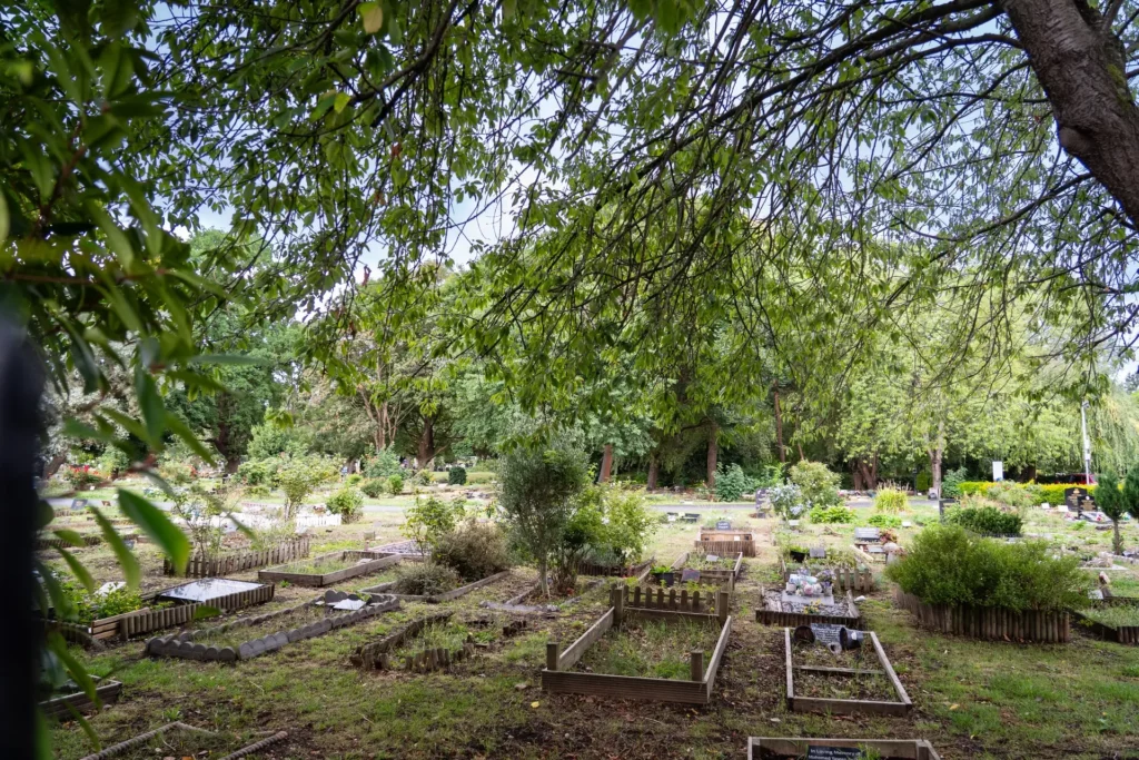 Lambeth Cemetery (2)