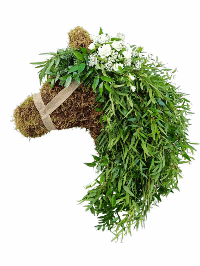 Eltham-New-Fashion-Flowers1_Compressed