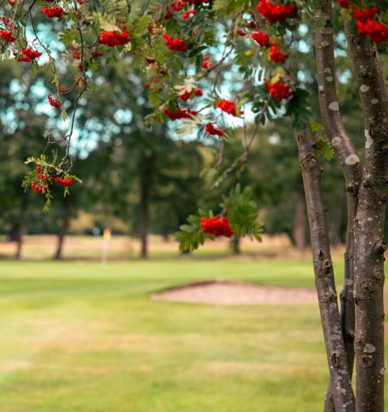 West Wickham - Langley Golf Club(2)_Compressed