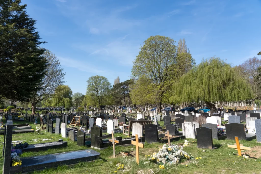 beckenham (3)