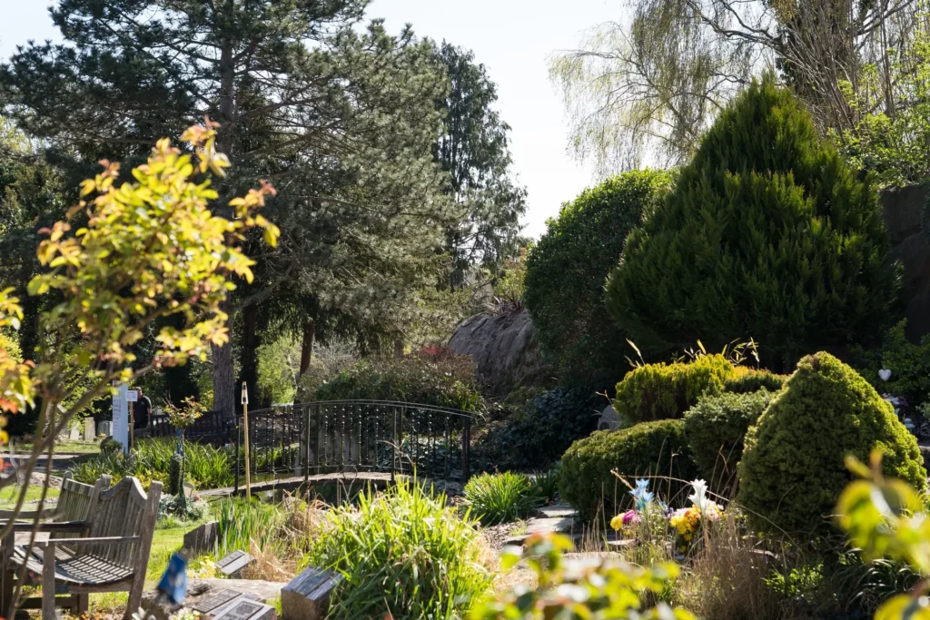 beckenham (4)