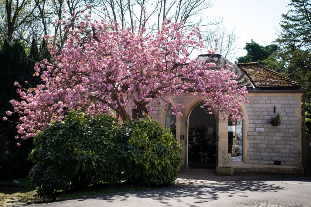 beckenham (8)