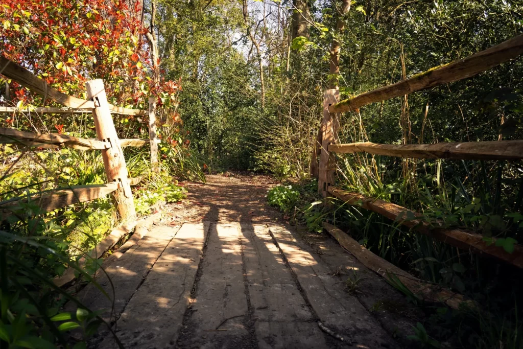 kemnal park (1)