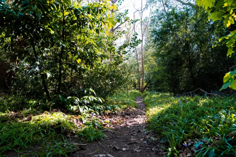 kemnal park (7)