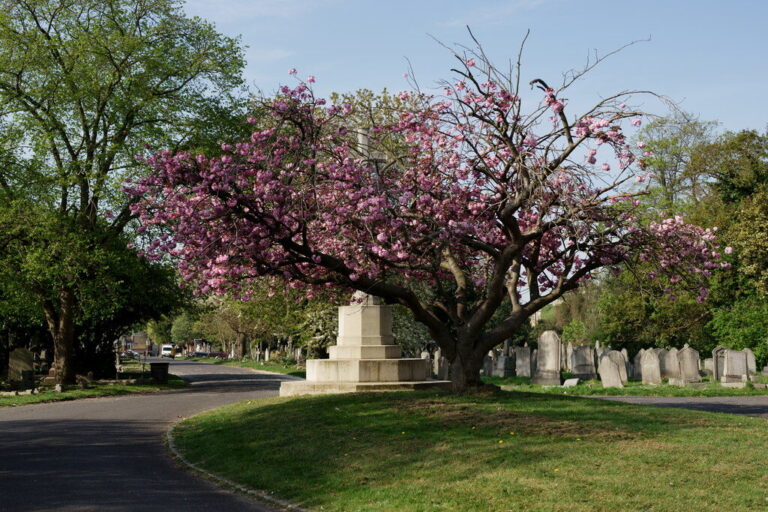 geograph-6442434-by-Peter-Trimming