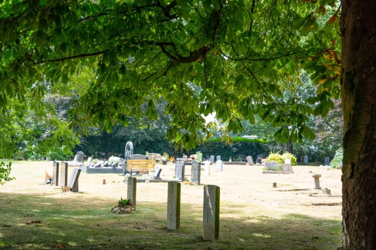 Biggin Hill Cemetery (2)_Compressed